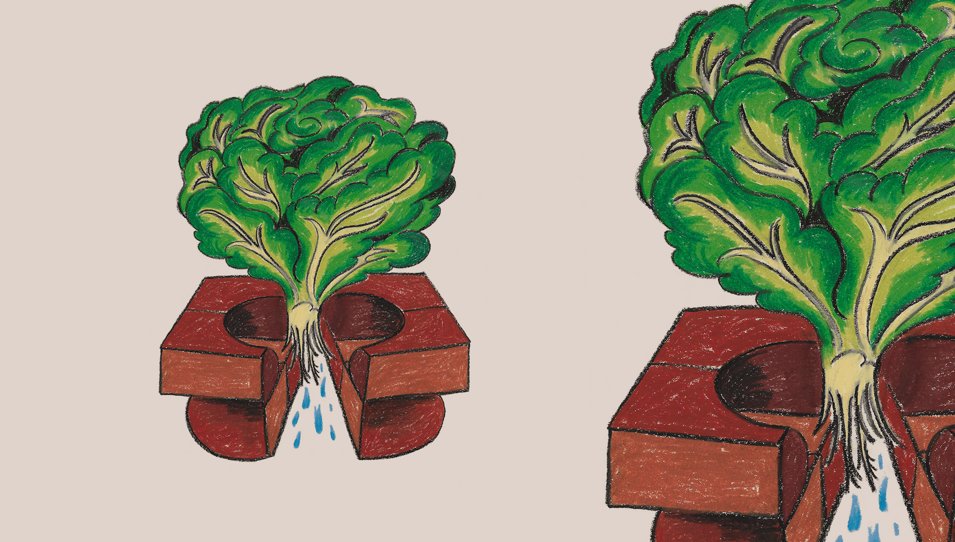 Febrero, tan fresco como una lechuga