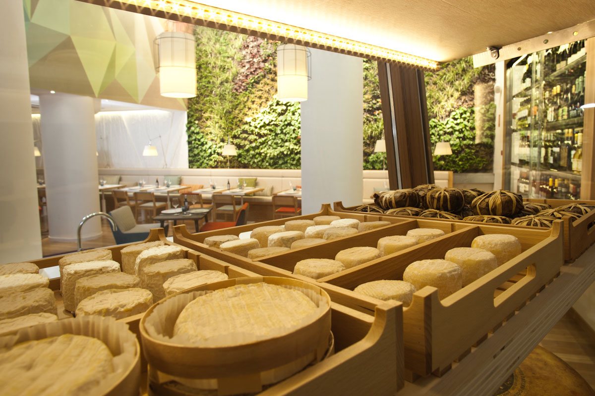 Sancal - Poncelet Cheese Bar 